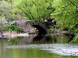 New York City, Arched bridge Central Park. File# 1872. Photographer: Susan